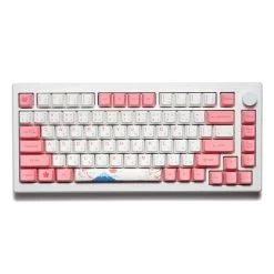 Akko MOD 007B HE 75% Keyboard -Featured Keyboard Store akko mod 007b he 75 keyboard 559963