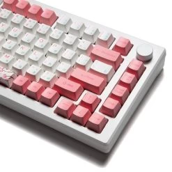 Akko MOD 007B HE 75% Keyboard -Featured Keyboard Store akko mod 007b he 75 keyboard 761954