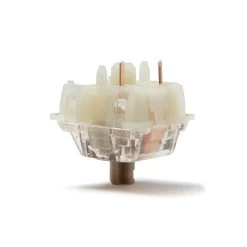 Gateron Baby Raccoon Linear Switches -Featured Keyboard Store gateron baby raccoon linear switches 644115